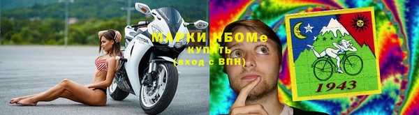 СК Зерноград