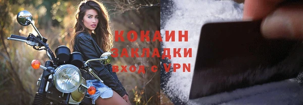 не бодяженный Заводоуковск