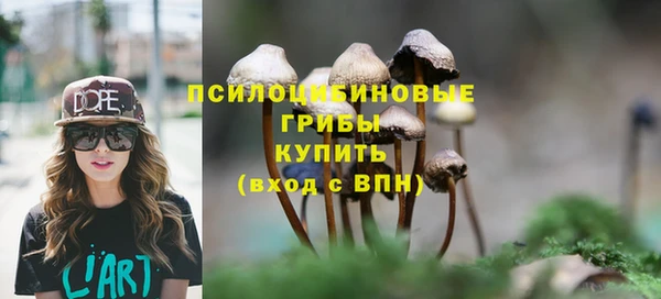 не бодяженный Заводоуковск