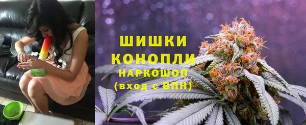 не бодяженный Заводоуковск